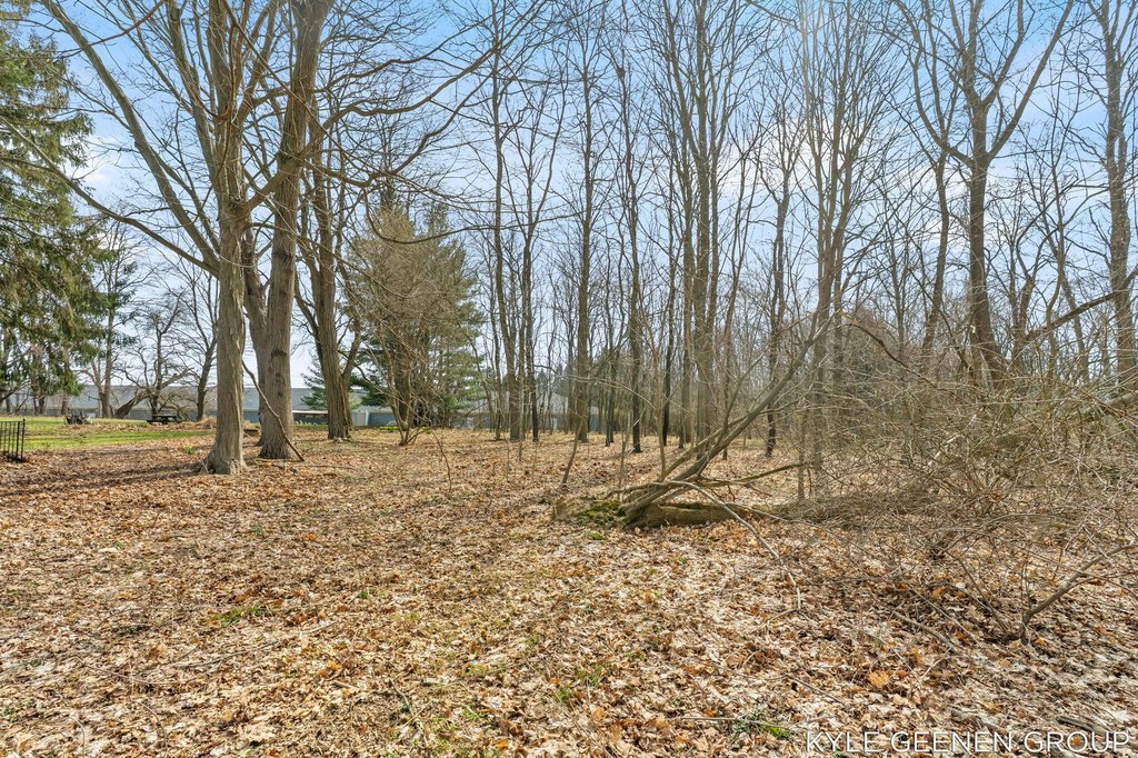 Picture 16