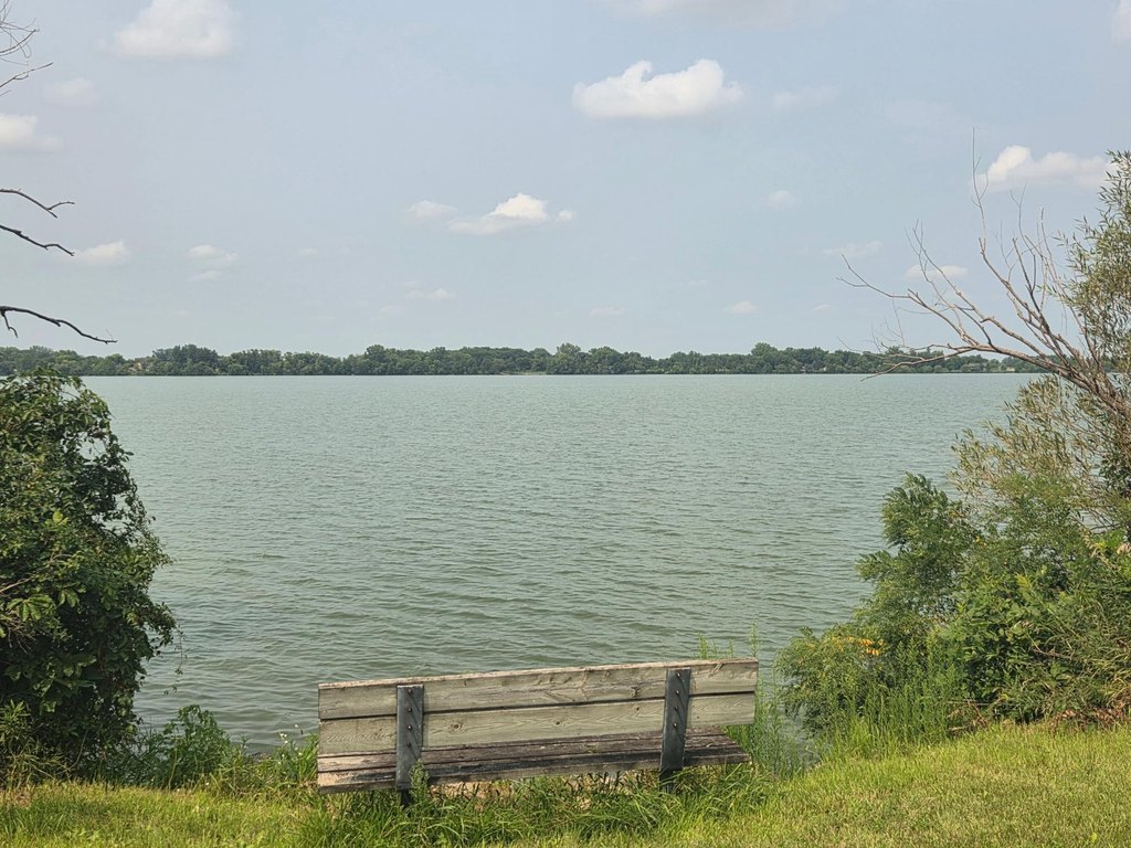 Picture 19