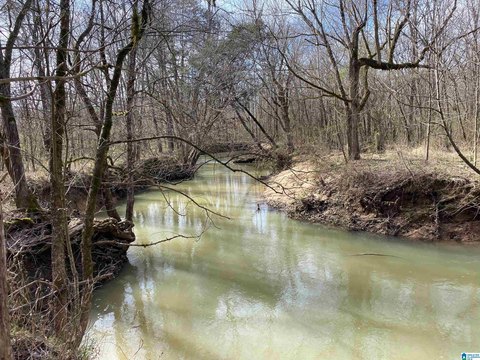 27 Acres on Highway 231