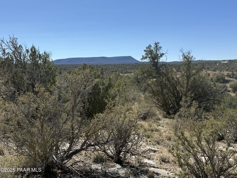 Seligman Land with Owner Financing