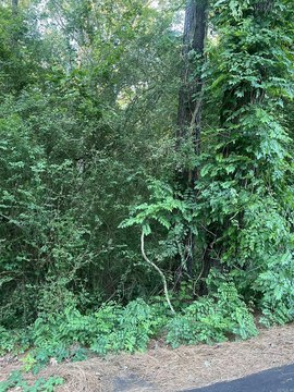 LAND - Monticello, AR