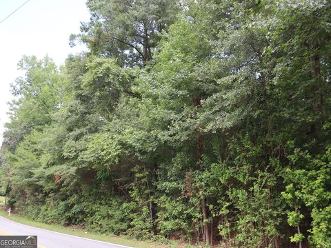 Wooded Lot Near Macon