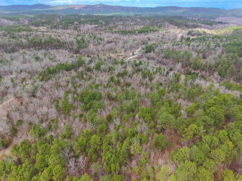 Wooded Acreage Bordering National Forest