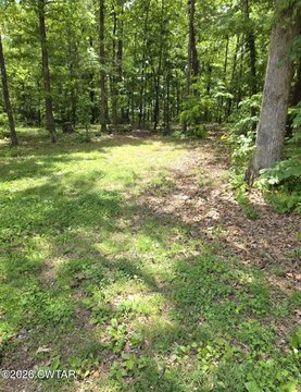 Land, Bethel Springs, TN
