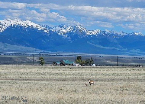 LAND - Ennis, MT