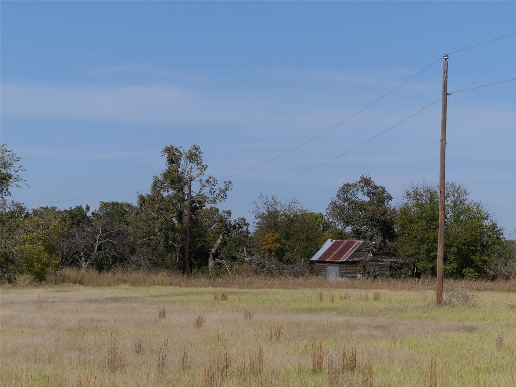 Picture 19