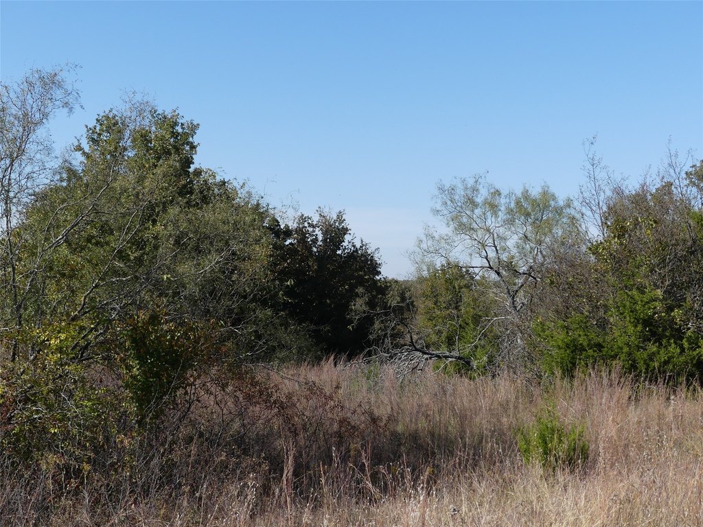 Picture 21