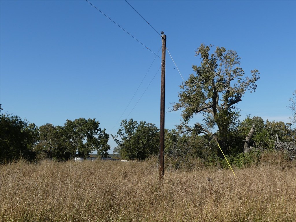 Picture 24