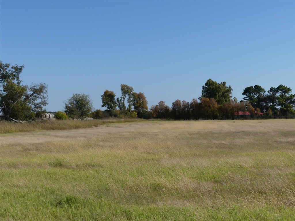 Picture 29
