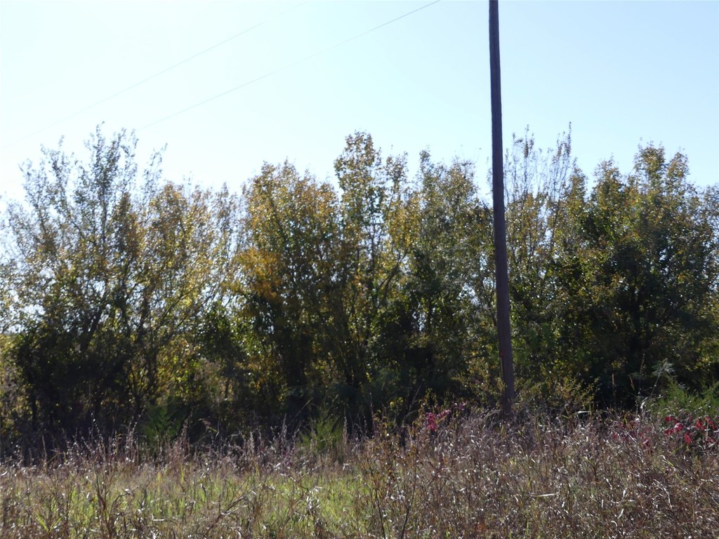 Picture 13