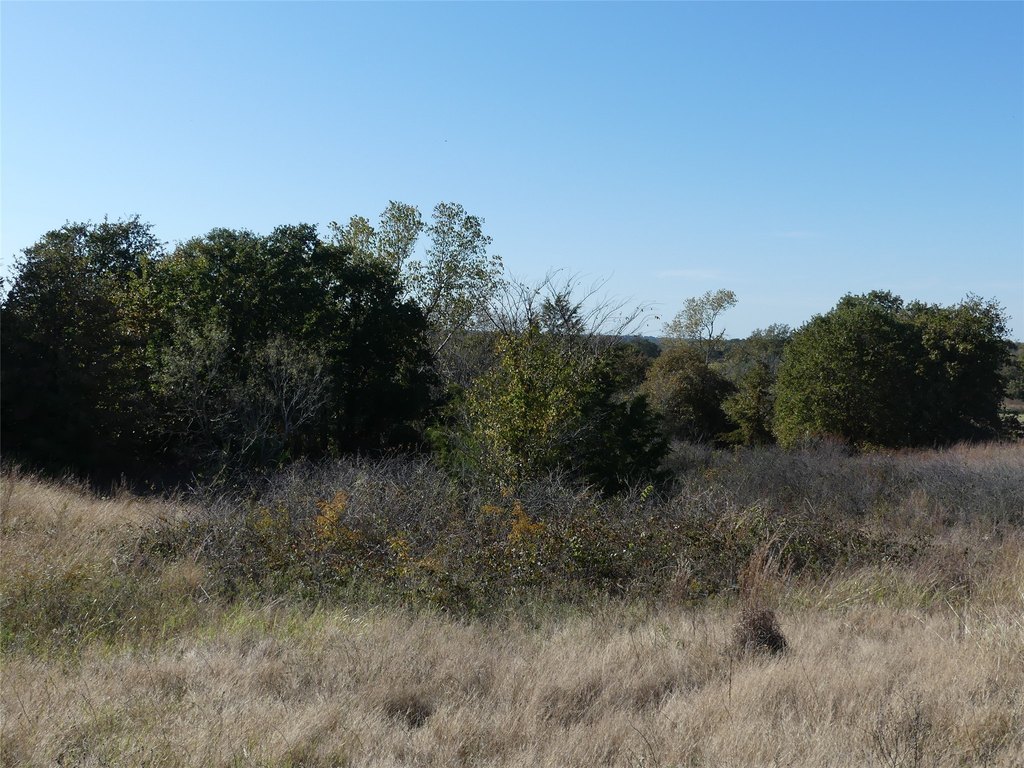 Picture 22
