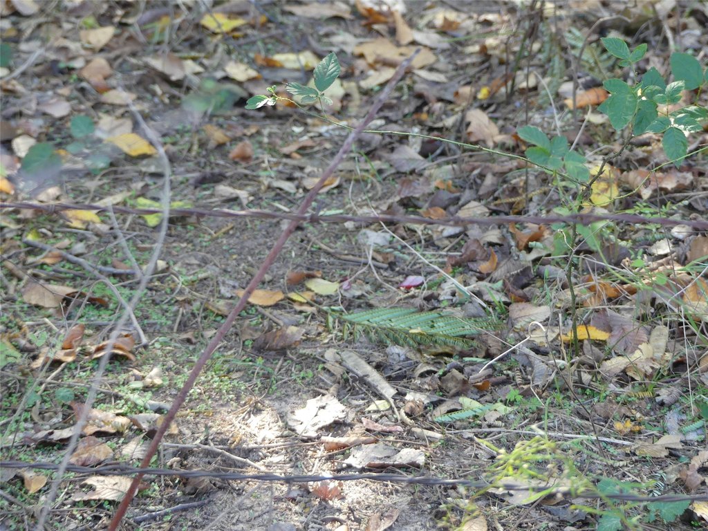 Picture 16
