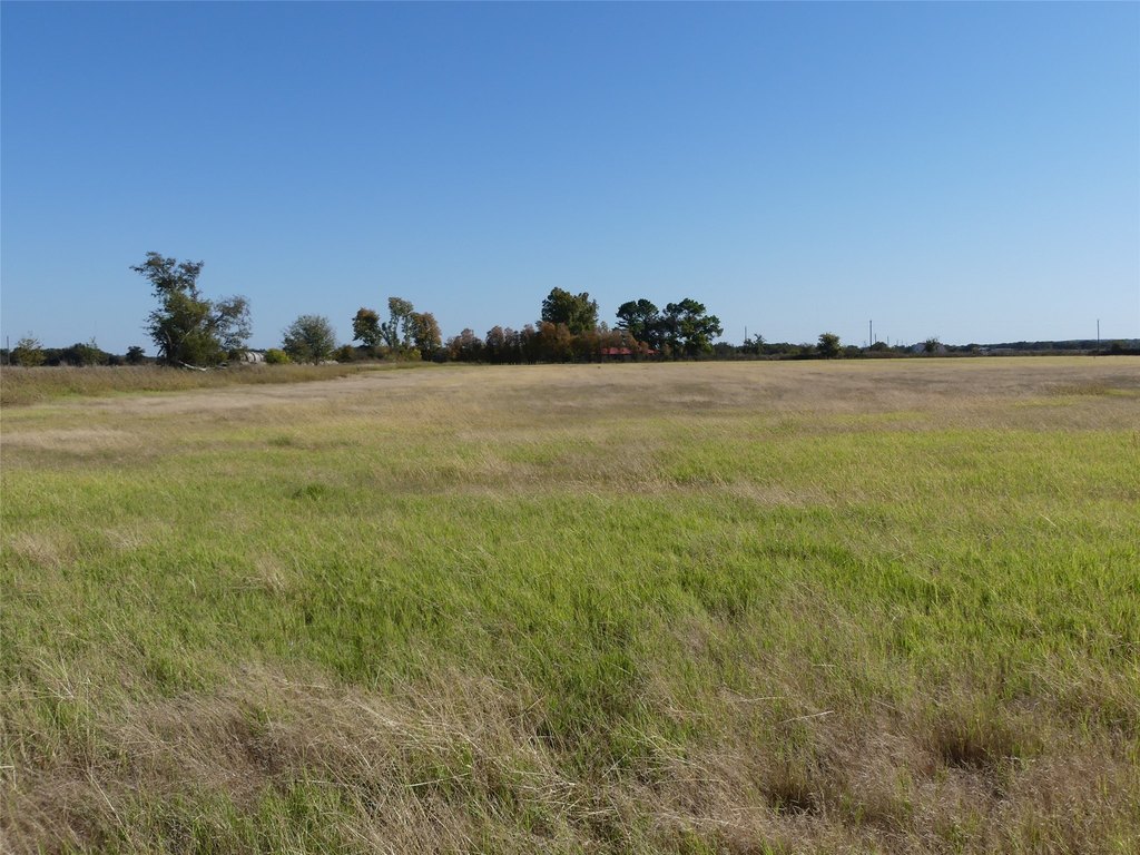 Picture 26
