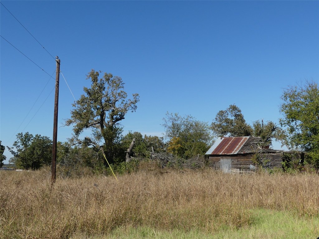 Picture 23