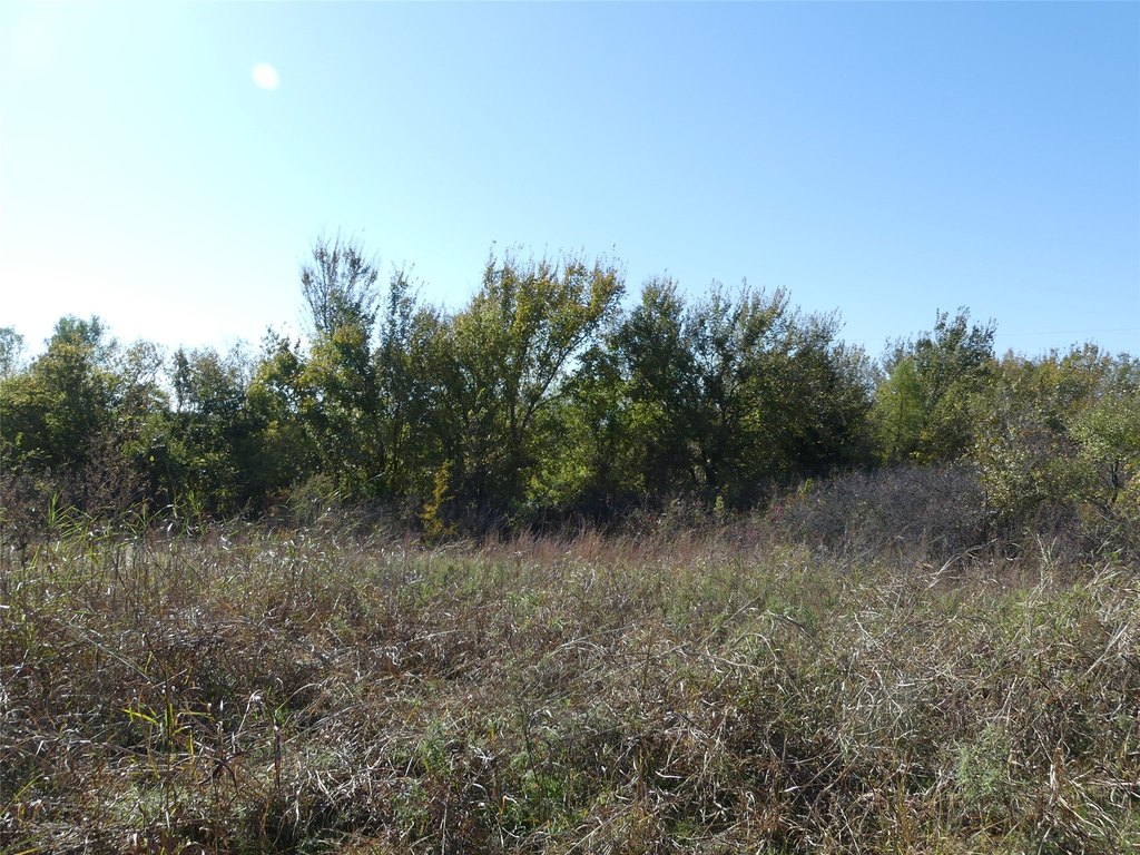 Picture 11