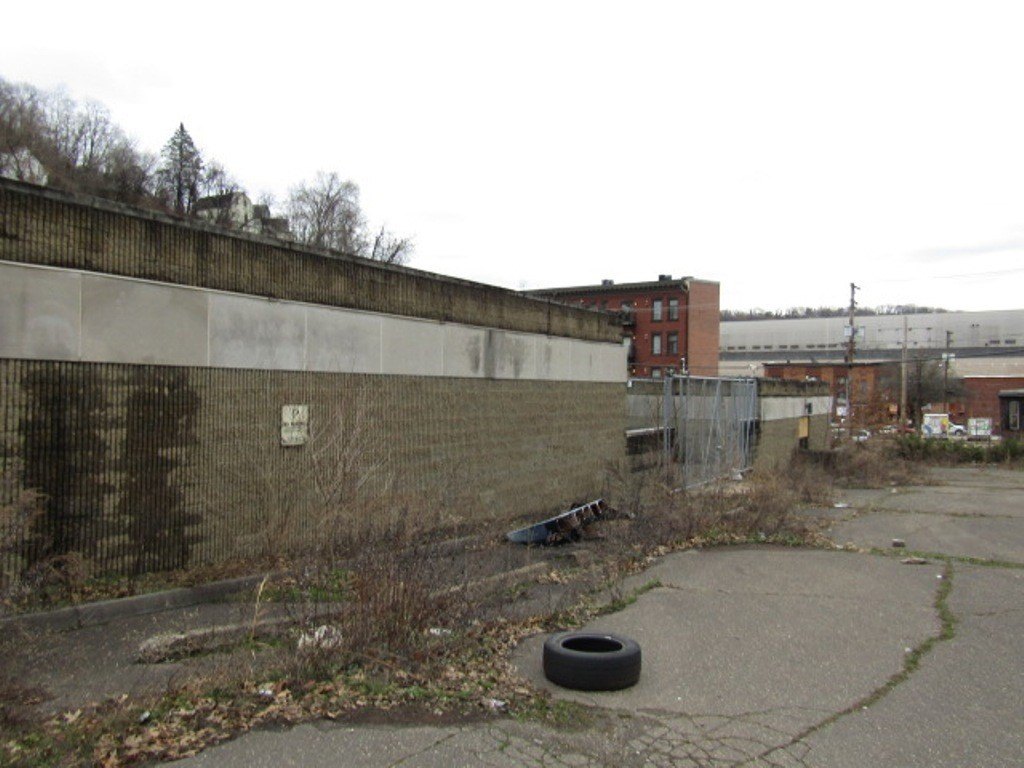 Picture 8