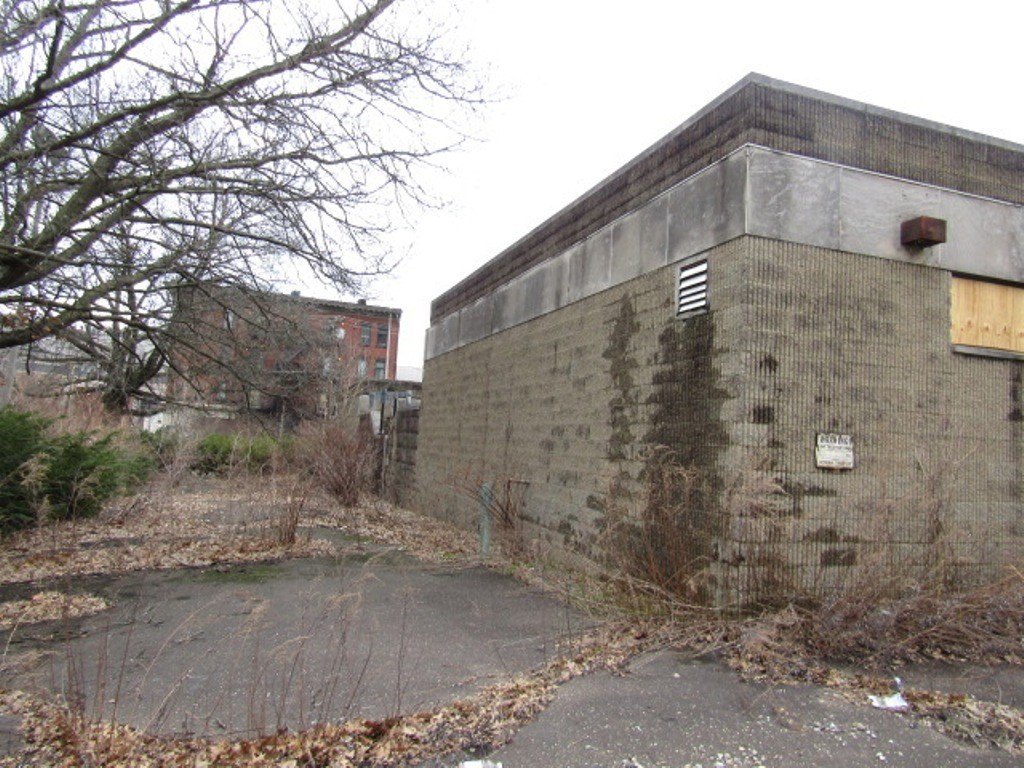Picture 5