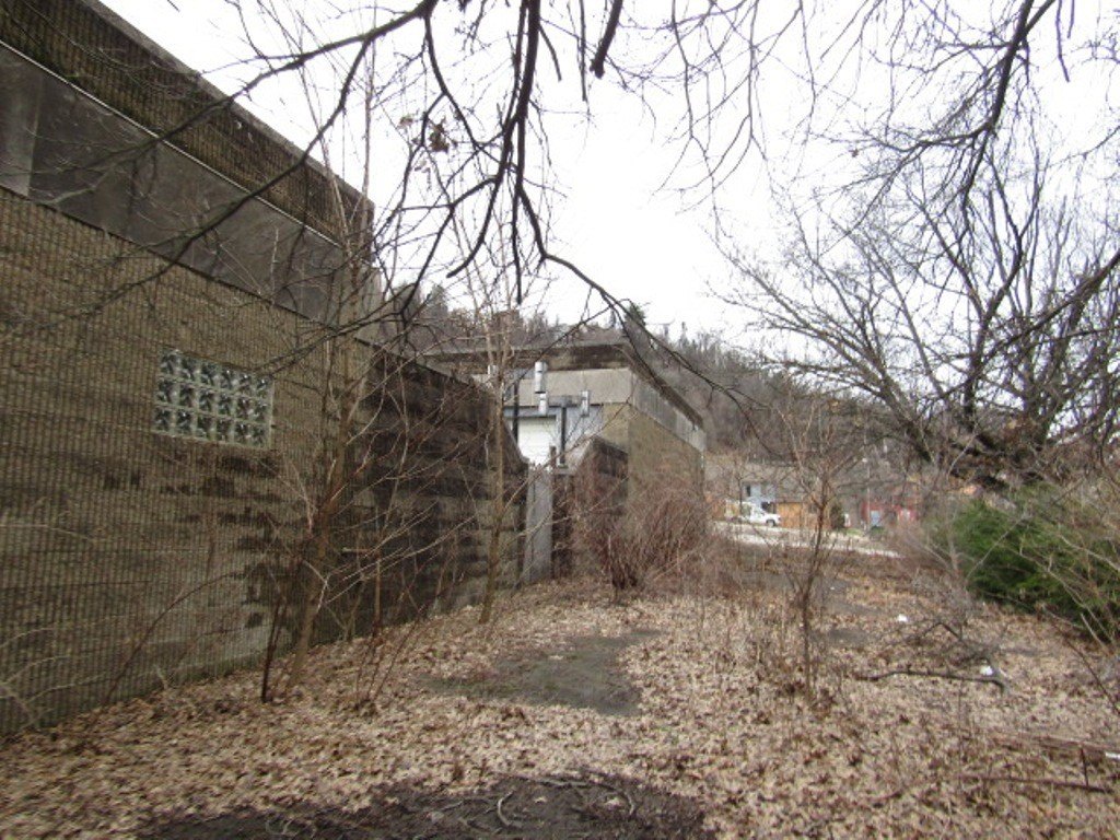 Picture 4