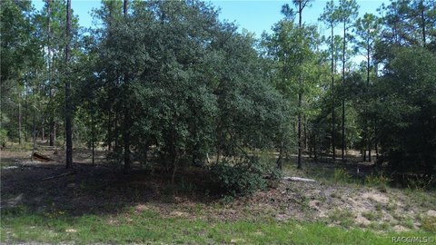 LAND - Citrus Springs, FL