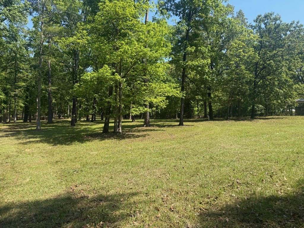 Picture 5