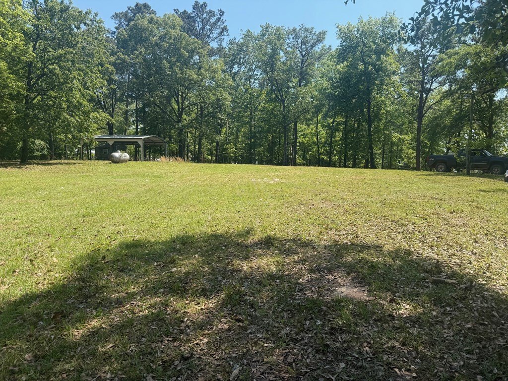 Picture 6