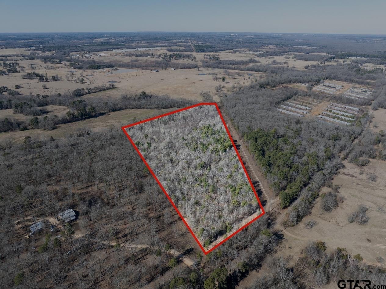 Lush Wooded Acreage in Pittsburg