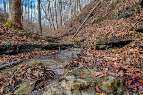 Unrestricted Land Near Center Hill