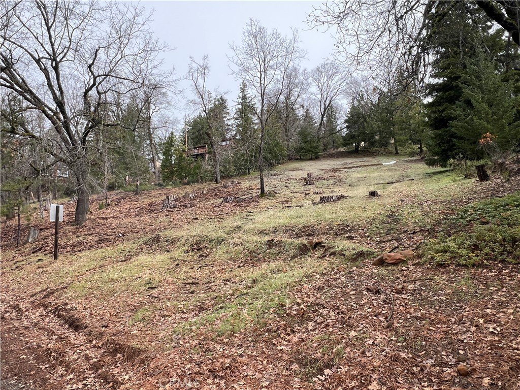 Picture 3