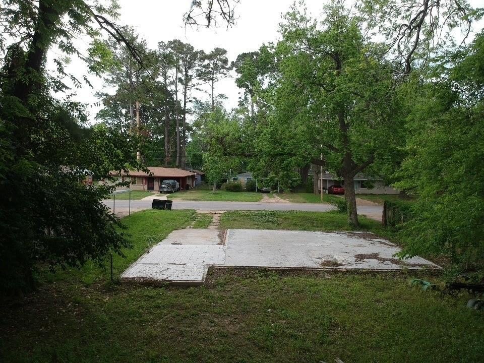 Picture 3