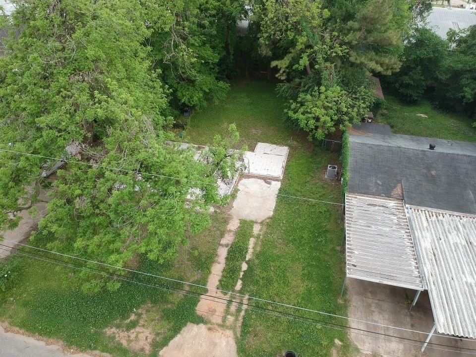 Picture 6