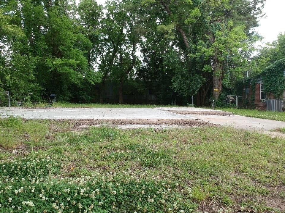 Picture 5
