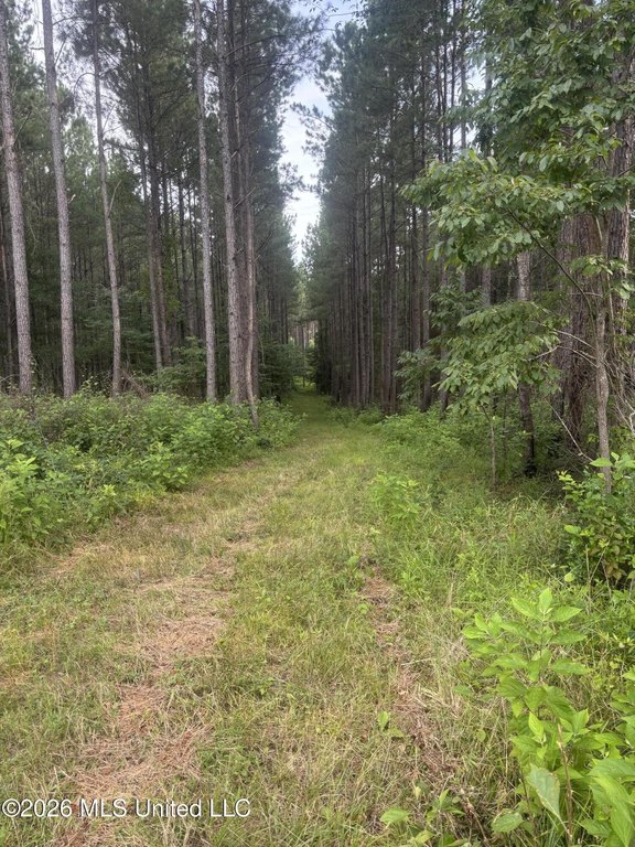Picture 33