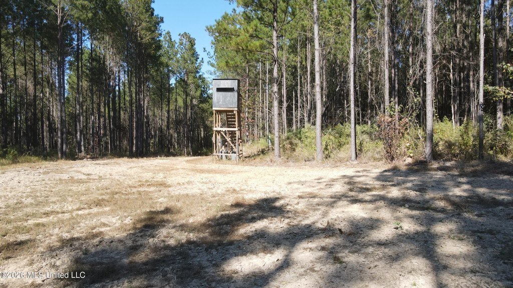 Picture 19