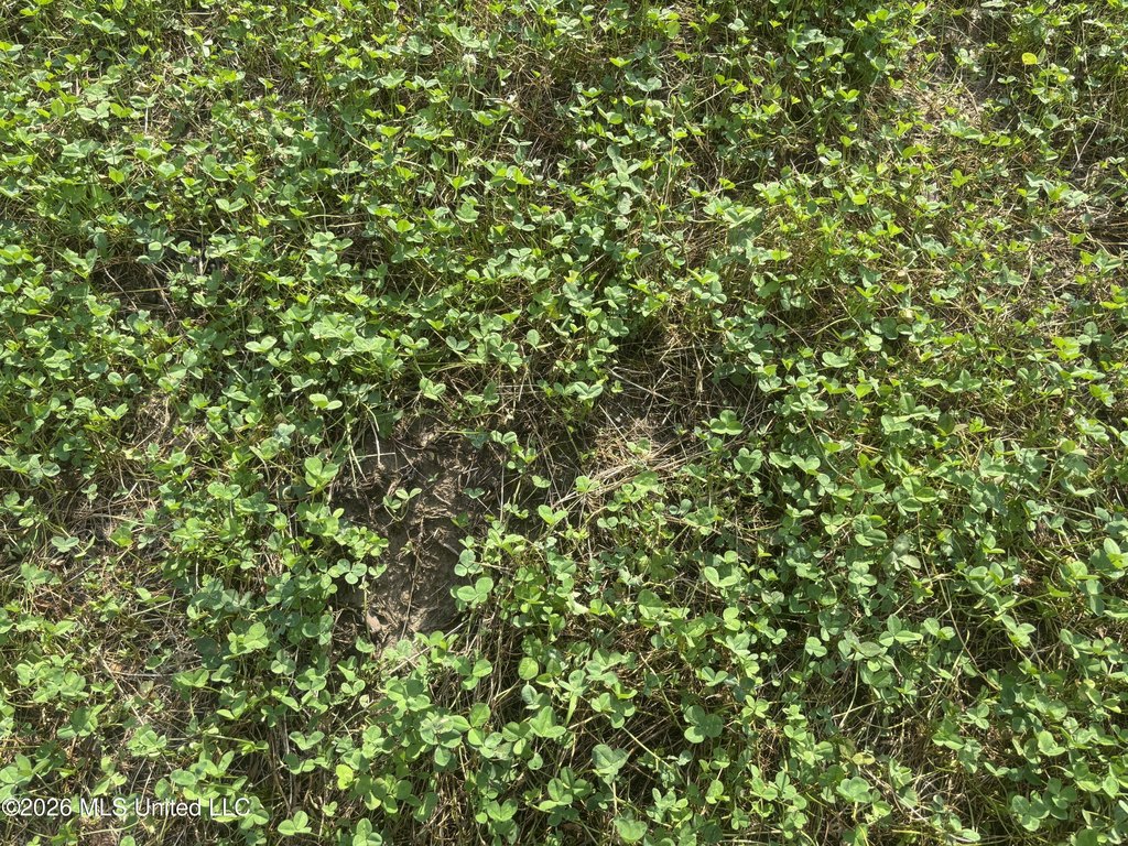 Picture 42