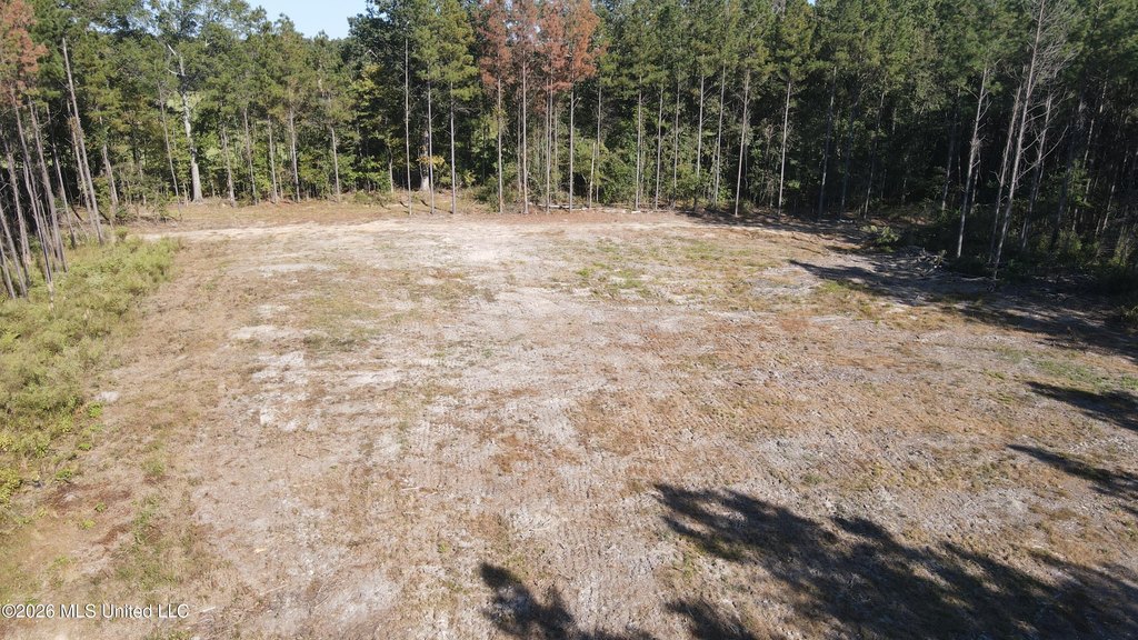 Picture 12