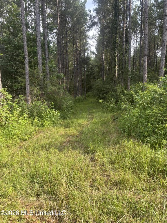 Picture 37