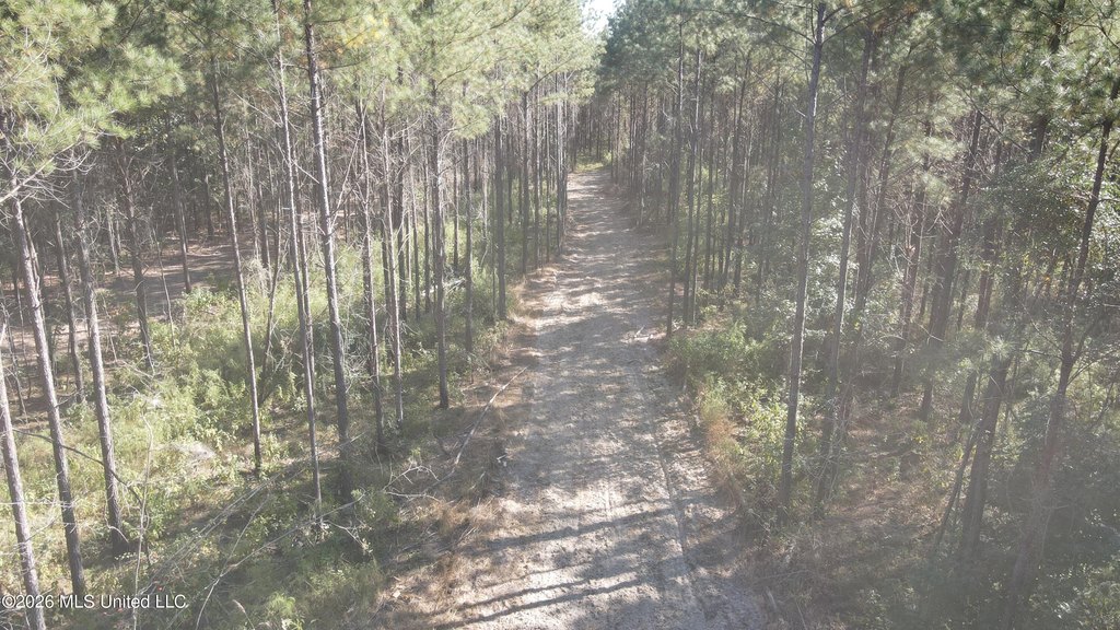 Picture 14