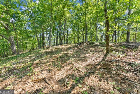 LAND - Cleveland, GA