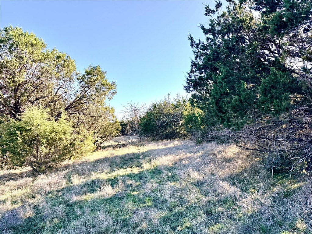 Picture 24