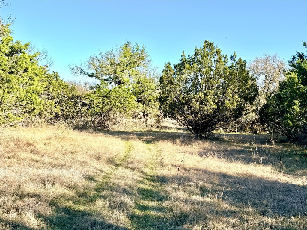 Picture 6