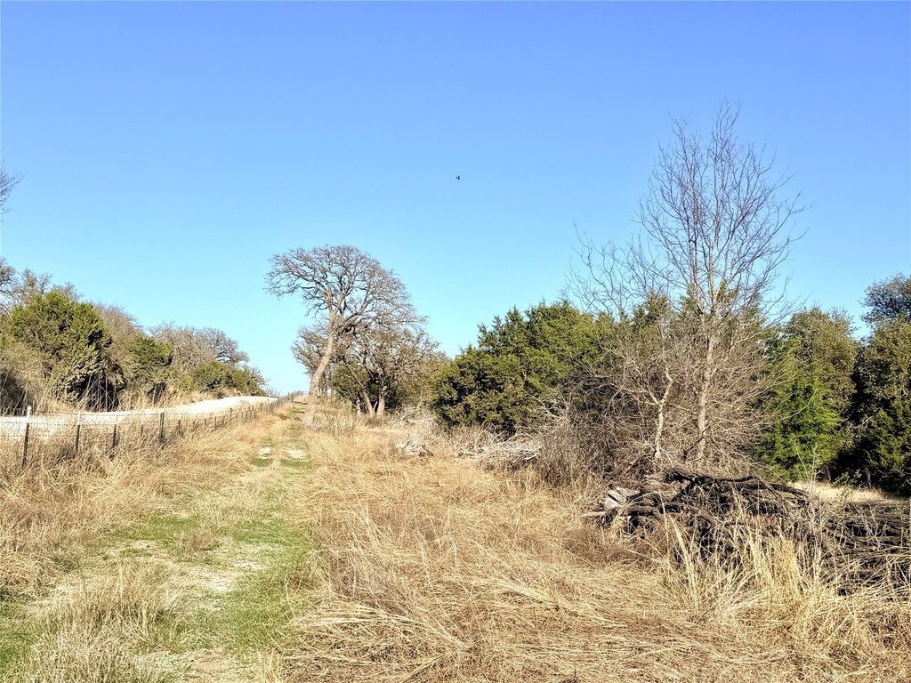 Picture 8
