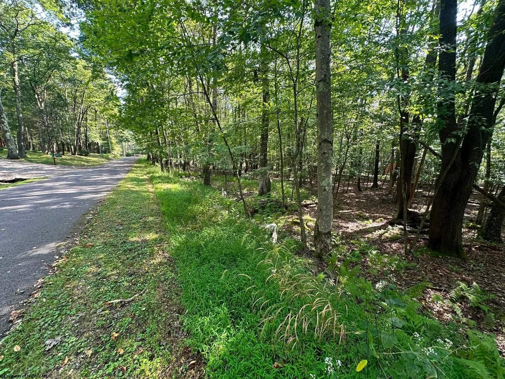 Picture 11