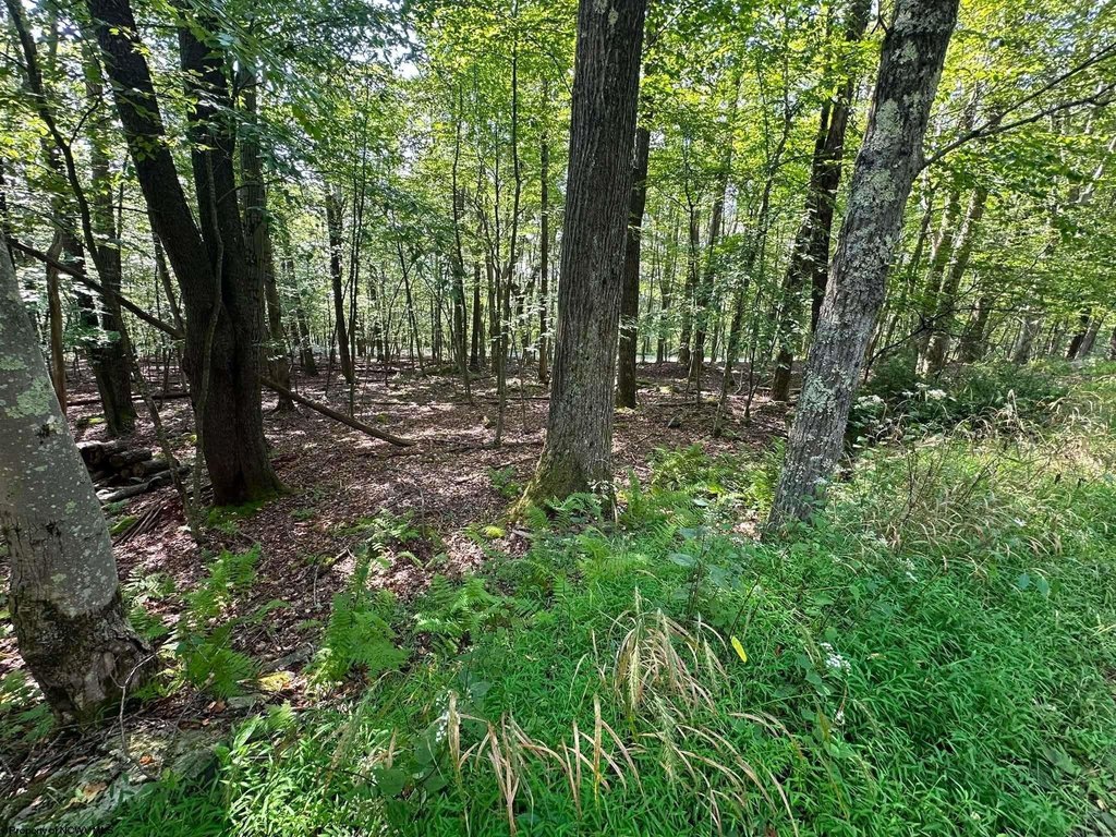 Picture 8