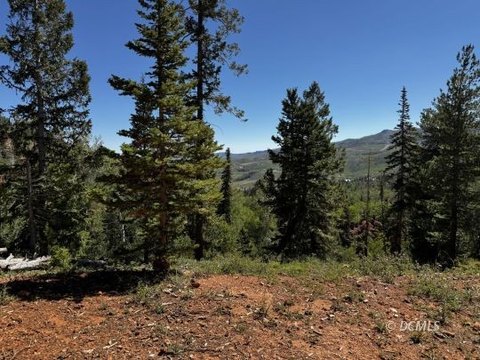 Vacant Land, Brian Head, UT