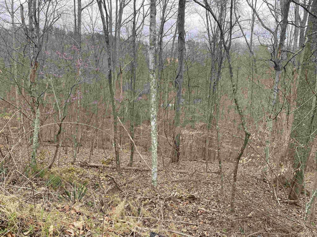 Picture 15