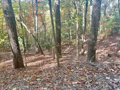 LAND - Brasstown, NC