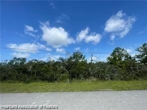 LAND - Lake Placid, FL