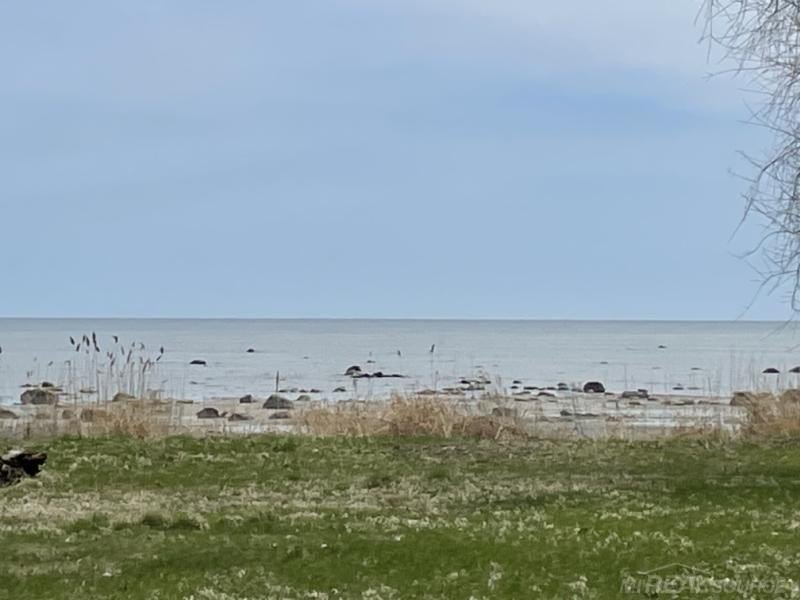 Picture 3