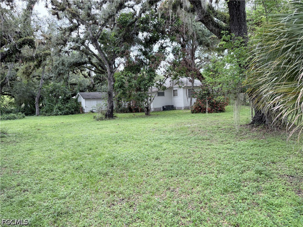 Picture 6