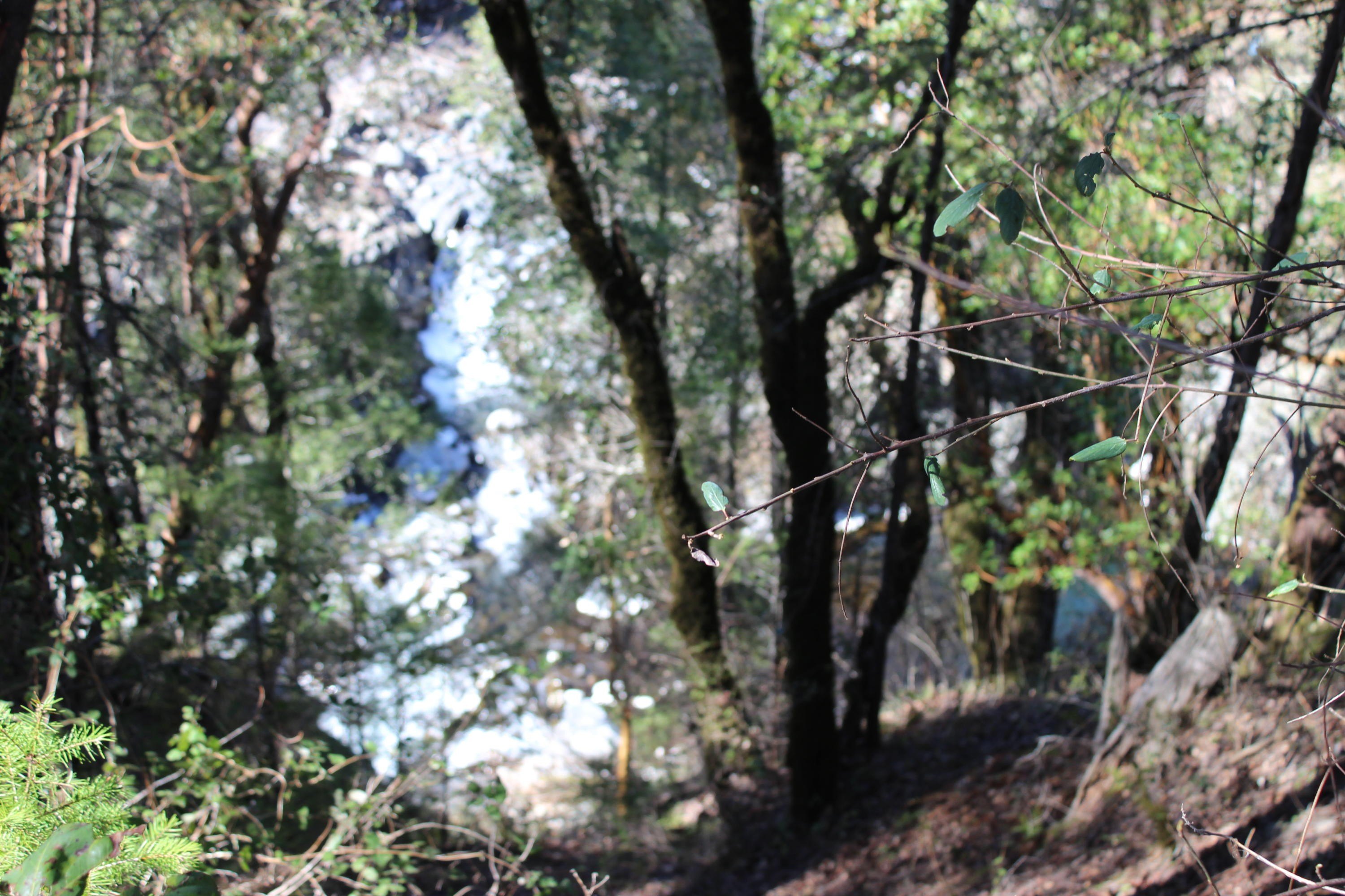 Spectacular 157.4 Acres Waterfront Land